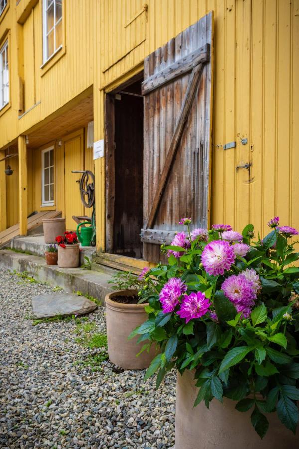 Houmbgaarden Apartment Røros Екстериор снимка